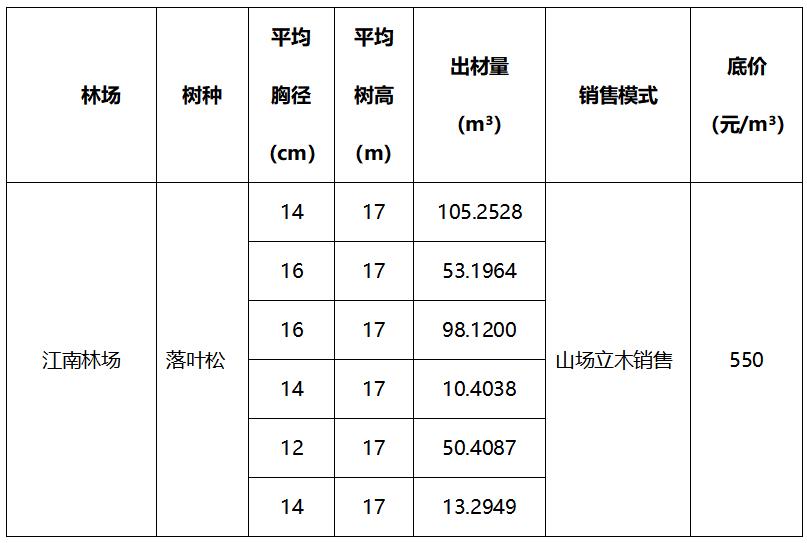 1764567579120450.jpg 2.jpg